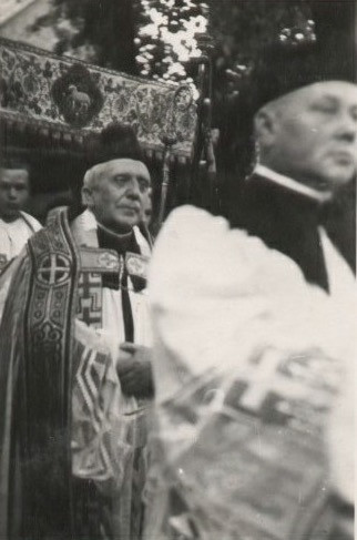 29542055 1575566355892299 n